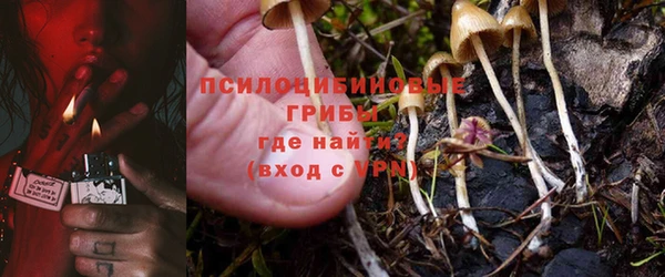 таблы Аркадак